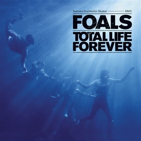 Foals.